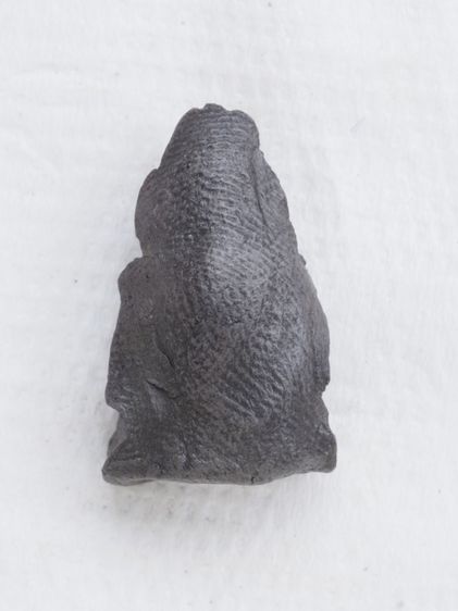 พระเนื้อดิน 02106817 รูปที่ 2