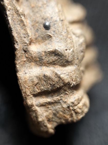 พระรอดลำพูนพิมพ์เล็กเนื้อเขียวหินครกครับ รูปที่ 13