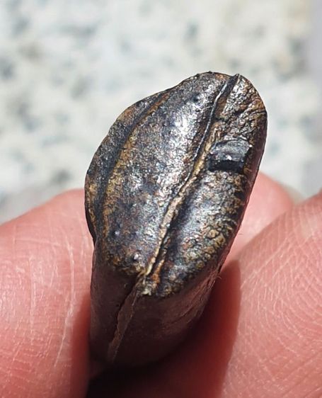 หลวงพ่อพริ้ง วัดบางปะกอก รูปที่ 3