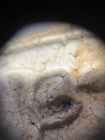 สมเด็จพิมพ์ใหญ่ รูปที่ 14