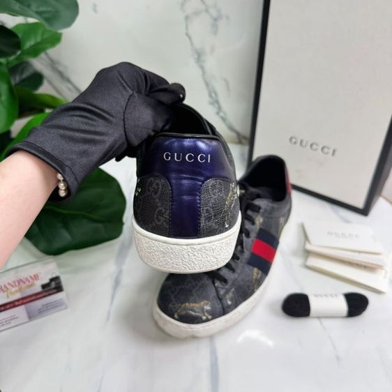 Gucci Ace GG Supreme Tigers Sneaker Size 8.5 รูปที่ 5