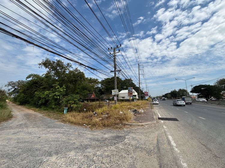 ขายที่ดินติดถนนใหญ่ ถ.รังสิต-นครนายก คลอง11 