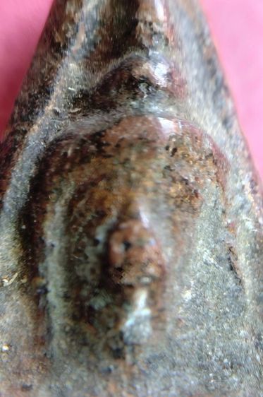 ร้อยเดียวพระปิดตา หลวงพ่อแก้ว หลวงพ่อโบ้ย วัดมะนาว นางพญาพิษณุโลก รูปที่ 15