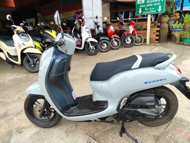 สกูปี้ รีโมท สด ผ่อน เทิร์น อุดร รูปที่ 7