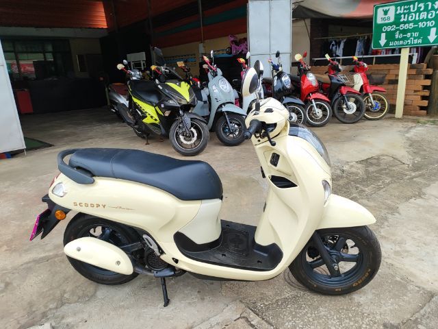 สกูปี้2025 สด ผ่อน เทิร์น อุดร รูปที่ 3