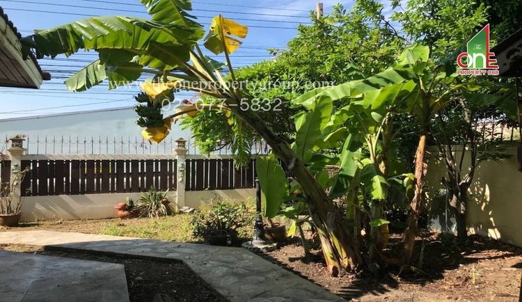 บ้านเดี่ยว 2 ชั้น ม.เบญจทรัพย์ 1 ถนนเอกชัย-บางบอน ต.โคกขาม เมืองสมุทรสาคร จ.สมุทรสาคร รูปที่ 2