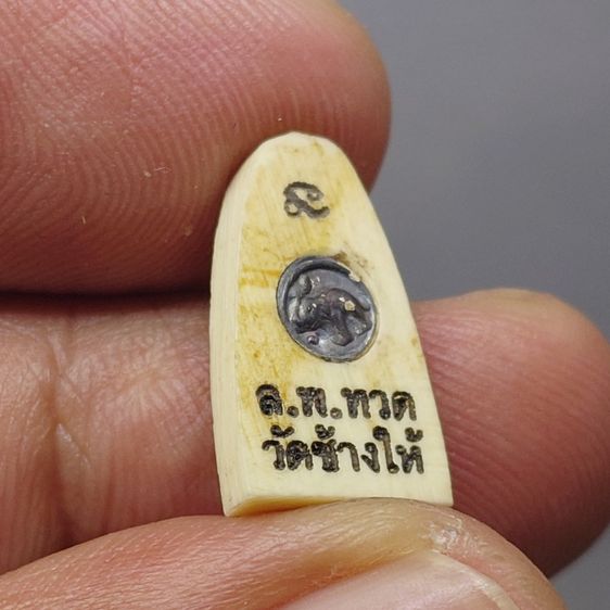 สมเด็จหลวงพ่อทวด พิมพ์พระรอดเล็ก หลังหมุดเงิน อุดผงว่านและดินกากยายักษ์ รุ่นคชสารหมื่นปี (ศิลปาชีพ) ปี2541 พร้อมกล่องเดิม — นิยม หายาก รูปที่ 5