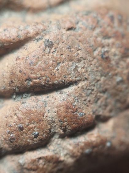 พระสามหอมเชียงใหม่ครับ รูปที่ 13