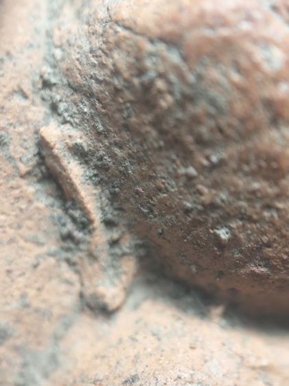 พระสามหอมเชียงใหม่ครับ รูปที่ 8