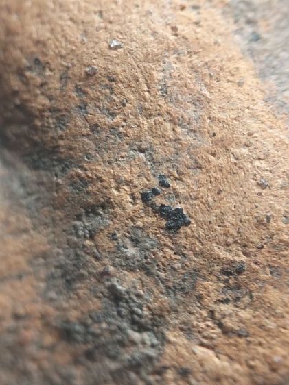 พระสามหอมเชียงใหม่ครับ รูปที่ 18