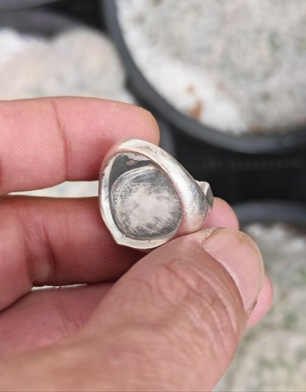 แหวนม้าคู่เงินแท้​ งานนอก​ สวยมาก ราคาดีๆครับ รูปที่ 7