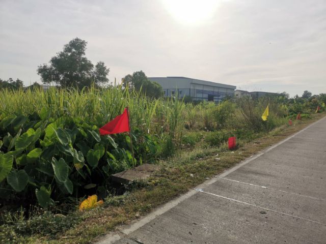 ไม่ใช่ ที่ดินใกล้ ร้านพี่ยาคนรุม ที่ดินคลอง3 ซอยเนียรหอม คลองหลวง ปทุมธานี100 ตร.ว เพียง 8.5แสน เท่านั้น รูปที่ 3