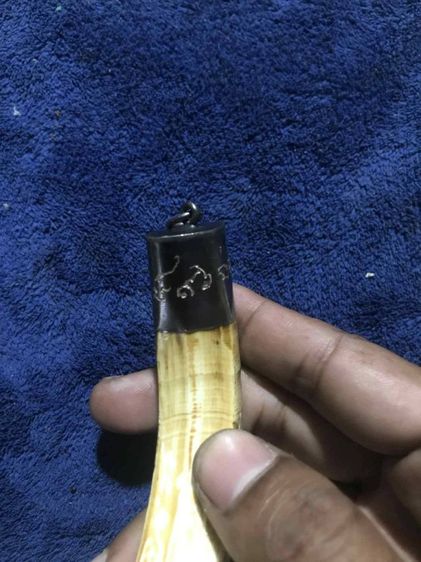 เขี้ยวหมูตันครอบเงิน รูปที่ 4