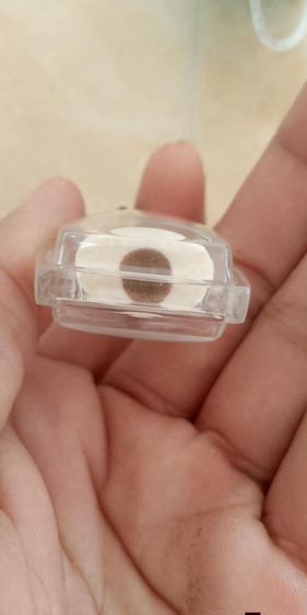 กุมารหลวงปู่หงษ์ รูปที่ 5