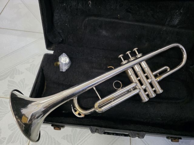 ทรัมเป็ต emperor รูปที่ 8