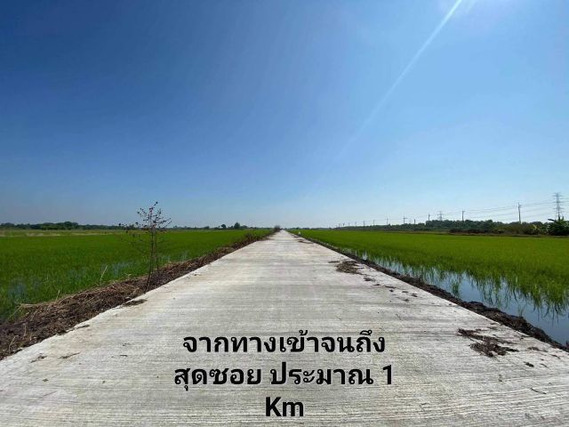 ใช่ ที่ดินเปล่า 1 ไร่ หนองจอก