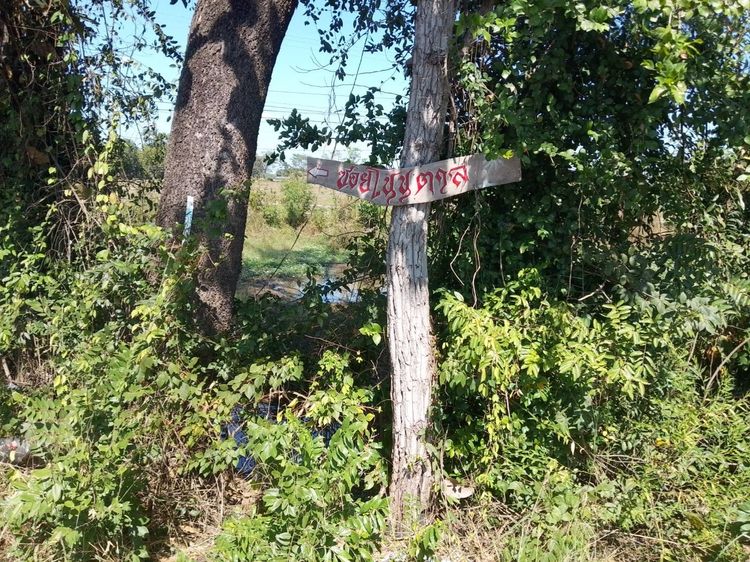 ที่ดินติดถนนหลักสาย 24 โชคชัย-เดชอุดม ต.ทุ่งเทิง จ.อุบล (ไม่ผ่านนายหน้า) รูปที่ 4