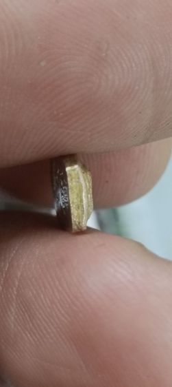 พระนาคปรกใบมะขาม หลวงปู่โต้ะวัดประดู่ฉิมพลี ปี21 รูปที่ 6