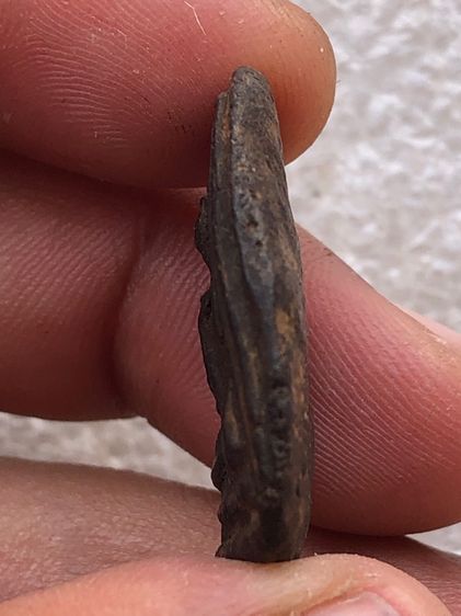 หลวงปู่บุญ  รูปที่ 5