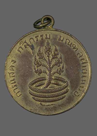 พระชินราชปี๒๔๖๐ รูปที่ 11