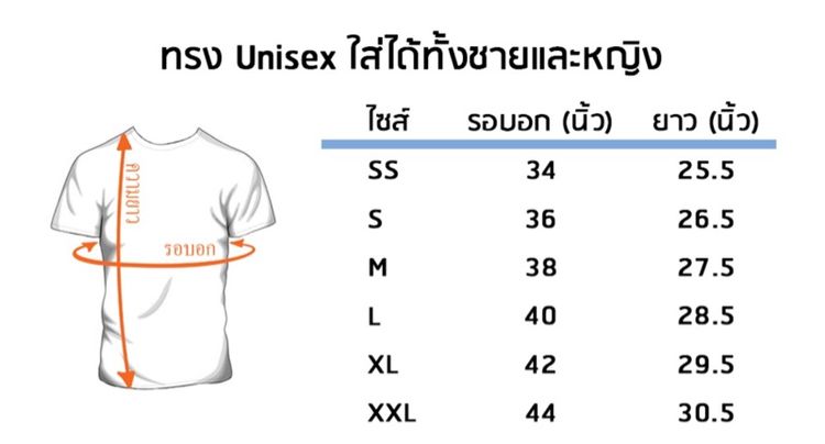 เสื้อยืด รูปที่ 2