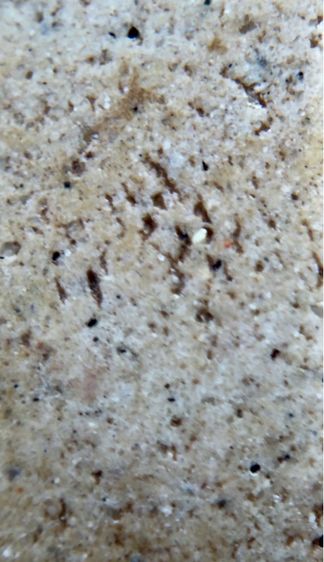 พระสมเด็จพิมพ์ใหญ่ รูปที่ 16