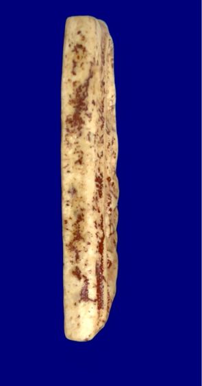 พระสมเด็จ รูปที่ 4