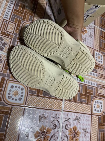 crocs รูปที่ 2