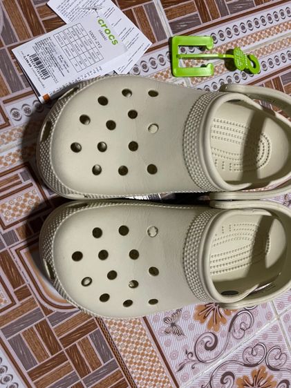 crocs รูปที่ 6