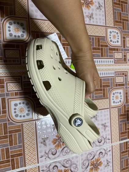 crocs รูปที่ 3