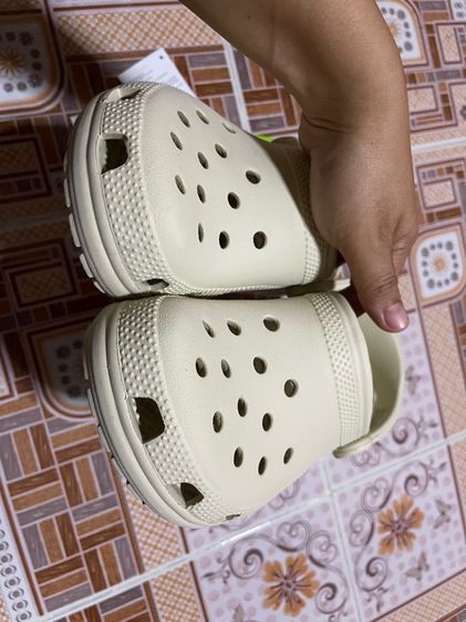 crocs รูปที่ 4