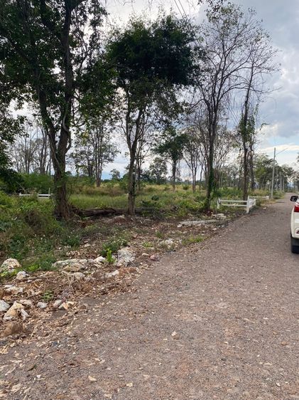 ไม่ใช่ ที่ดิน จัดสรร หมูสี เขาใหญ่  รูปที่ 4
