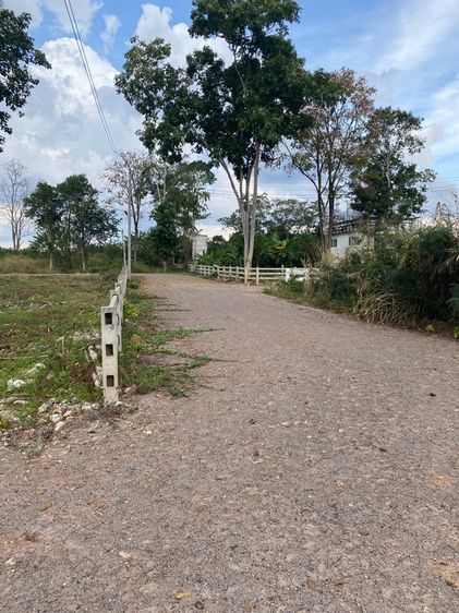 ไม่ใช่ ที่ดิน จัดสรร หมูสี เขาใหญ่  รูปที่ 3