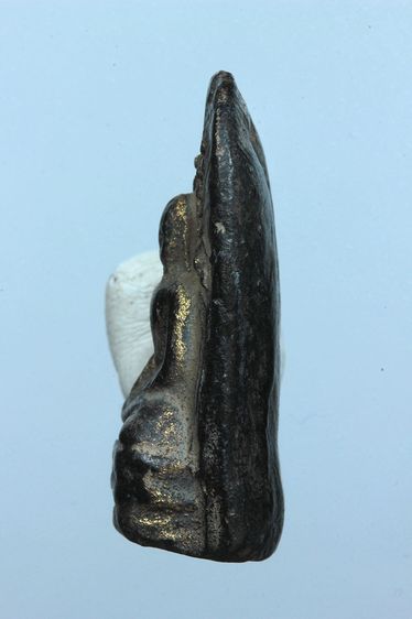 พระคงลำพูนสวยๆค่ะเก่าค่ะ รูปที่ 4