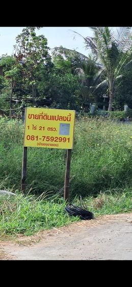 ที่ดิน1ไร่21ตรว. รูปที่ 4