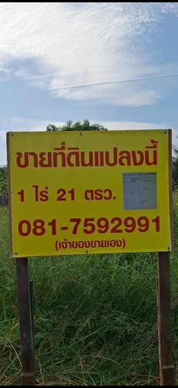 ที่ดิน1ไร่21ตรว.
