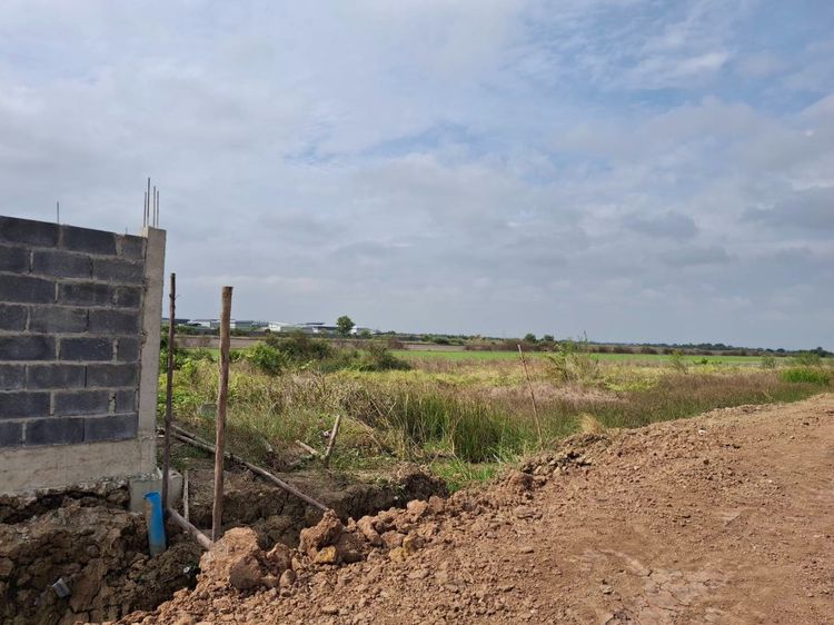 ที่ดิน รูปที่ 4