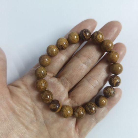 สร้อยข้อมือหินแจสเปอร์แท้ (Jasper)

หินพลังดิน เรียกทรัพย์ มั่นคง เงินไม่รั่ว  รูปที่ 5