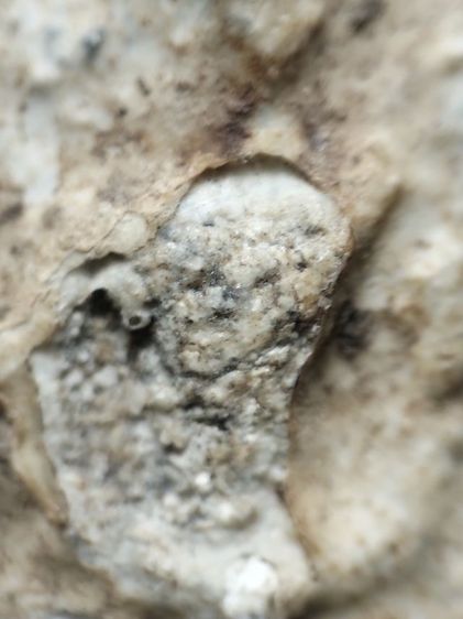 ❌ปิดครับ❌สมเด็จครับไม่ได้ล้างใดๆครับ รูปที่ 8