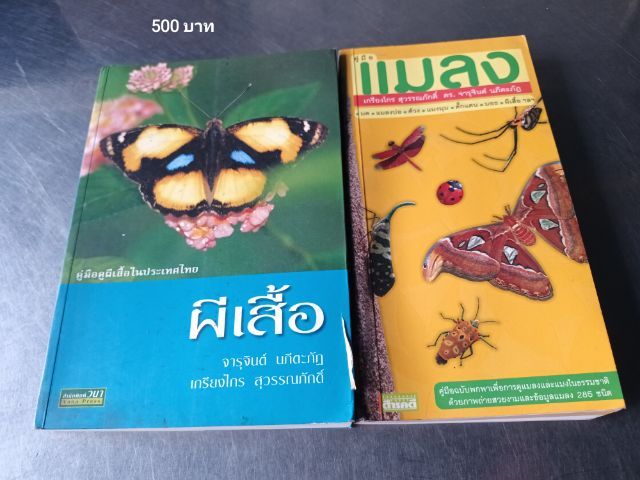 ดังตฤณ ผีเสื้อและแมลง รูปที่ 2