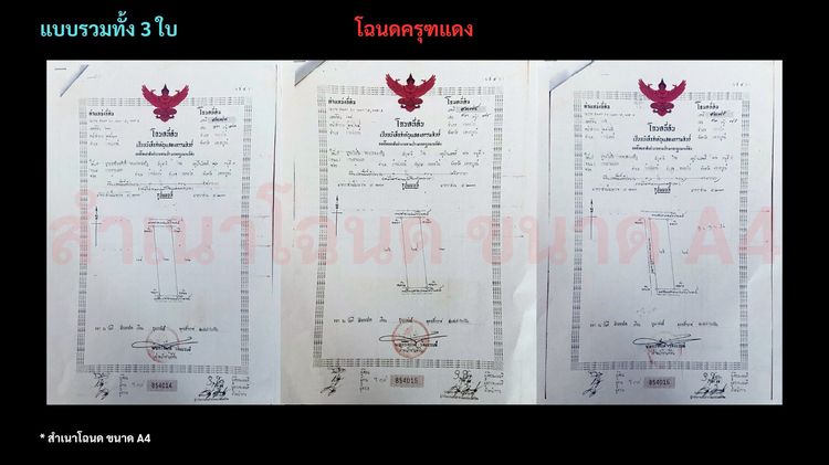 เจ้าของขายที่ดินยกแปลง 11 ไร่ 1 งาน 89 ตรว โฉนดครุฑแดง รูปที่ 3