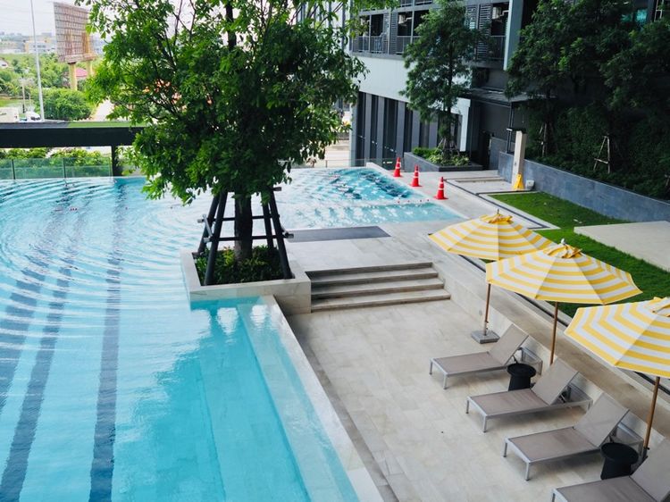 ตกแต่งครบ Areeya Property 2021 ไม่อนุญาต ไม่ใช่ ให้เช่าคอนโด A Space Mega1 IKEA รูปที่ 3