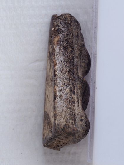 พระนางพญาเนื้อผง 09106805 รูปที่ 4