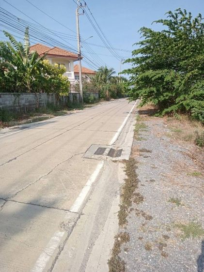 ขายที่ดิน ประมาณ 12 ไร่ รูปที่ 4