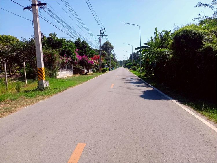 ที่ดิน 1ไร่ 95 ตรว รูปที่ 2