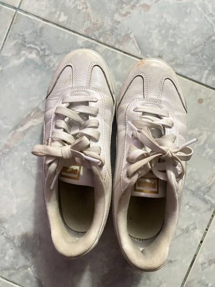 รองเท้าpuma