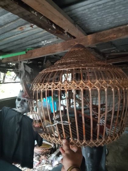 กรงหวายนกเขาใหญ่ มือสองสภาพดี