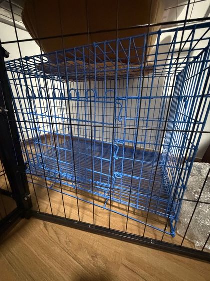 กรงหมาแมว