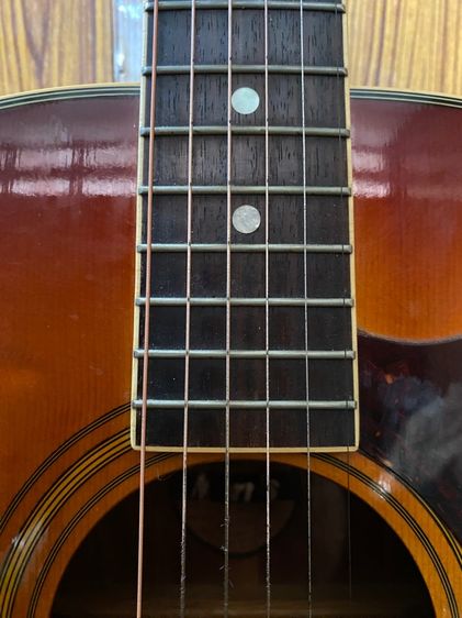 กีตาร์ morris รูปที่ 10