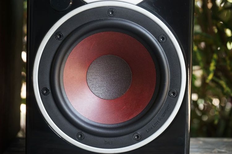 ลำโพงบลูทูธ DALI ZENCER 1AX  5 ดาว What HIFi  รูปที่ 11